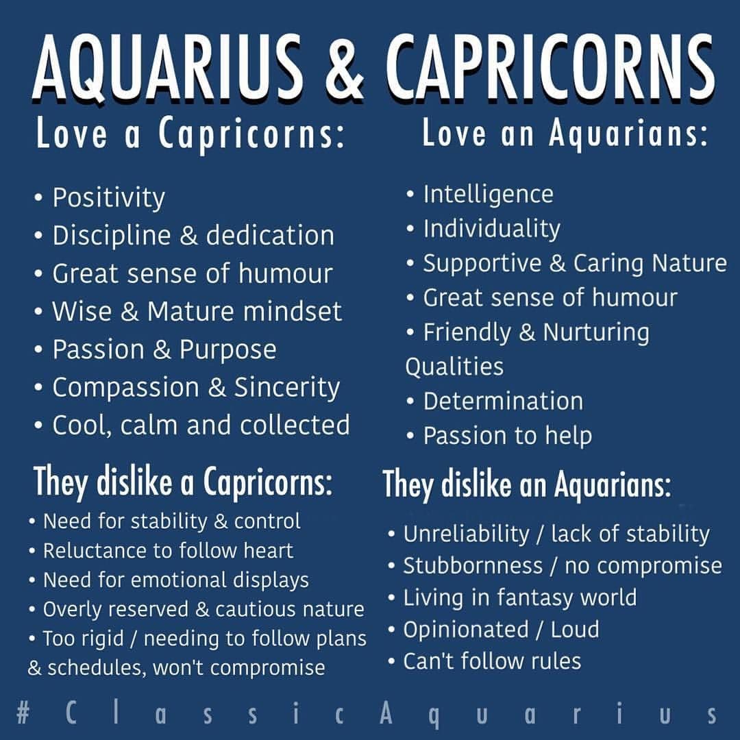 Fact Check: Are Aquarius and Capricorn compatible?