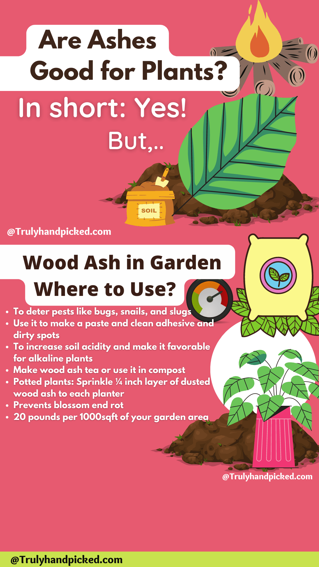 Fact Check: Are ashes good for plants?