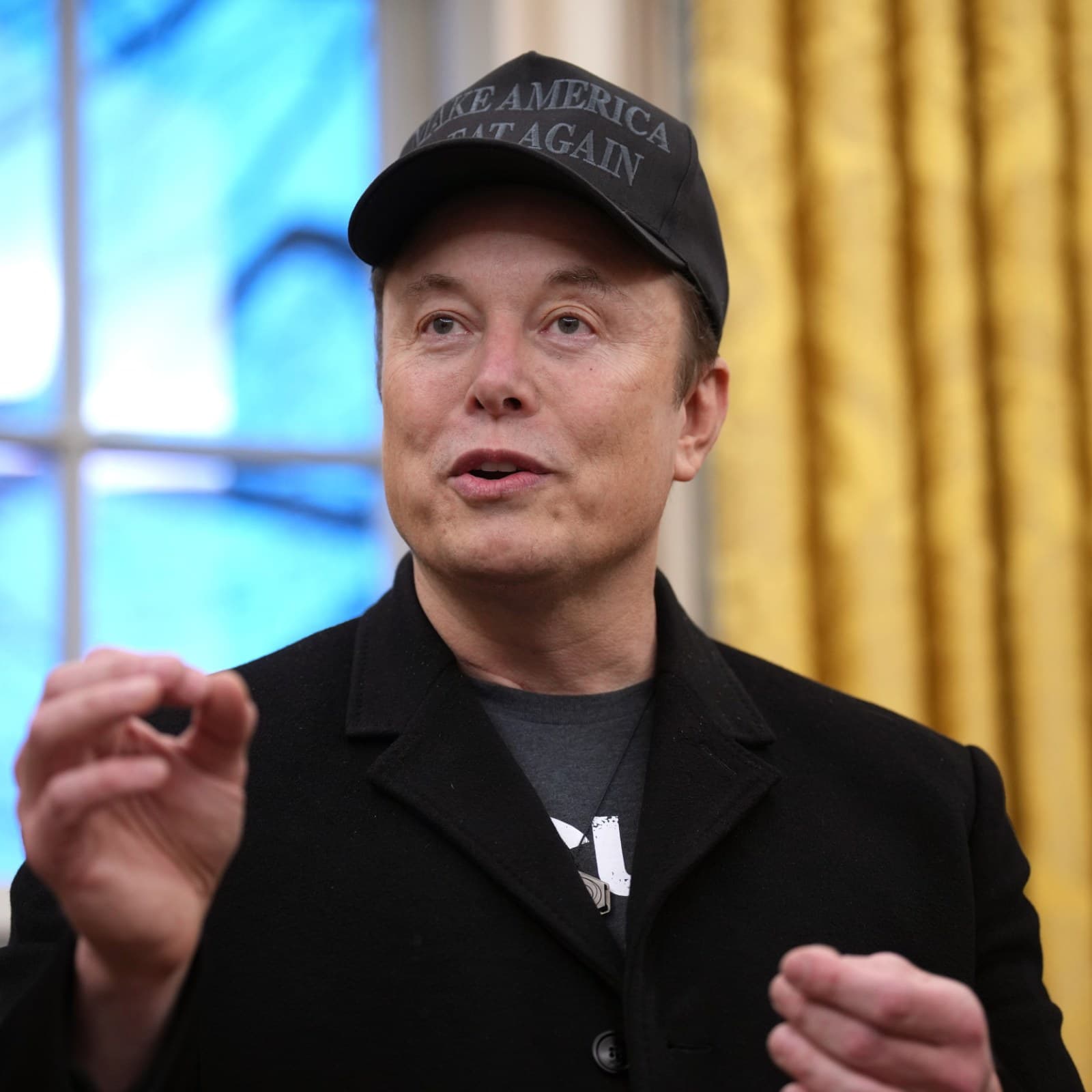 Fact Check: Elon Musk is intelligent.