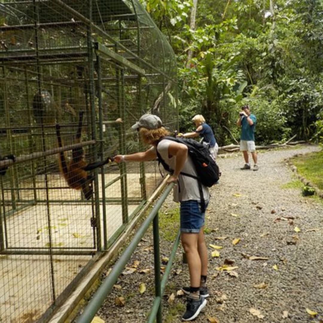 Fact Check: Costa Rica abolish state owned zoos and animal park