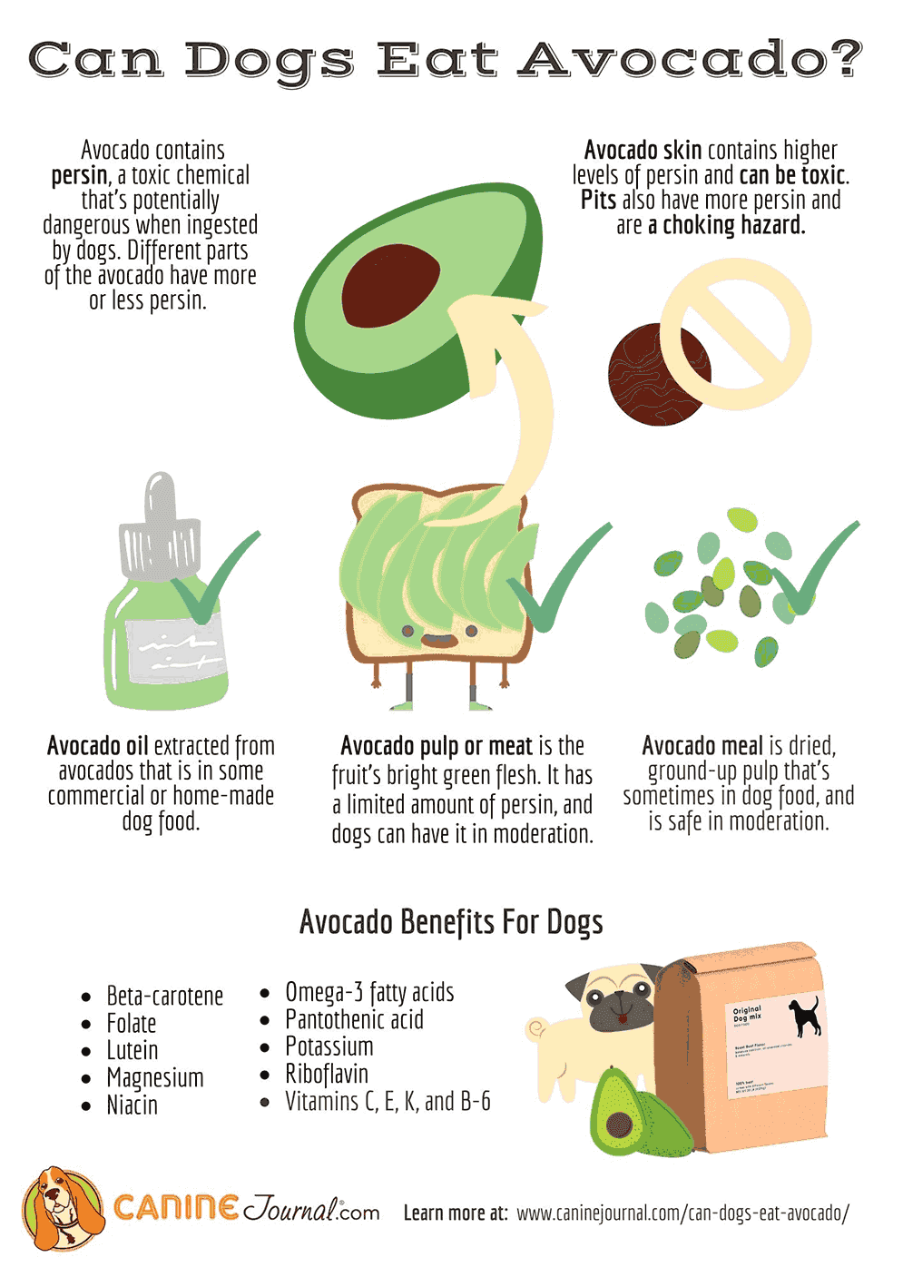 Fact Check: Are avocados bad for dogs?
