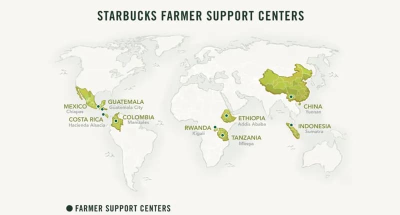 Fact Check: Starbucks struggle in Australia due of cultural differences surrounding coffee