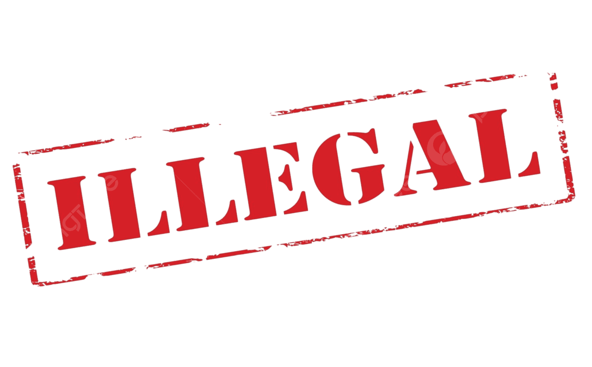 Fact Check: Illegal immigration is one of the highest criminal offences


