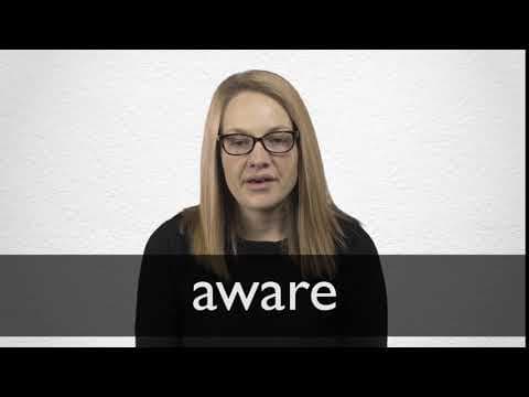 Fact Check: What are aware traducción?