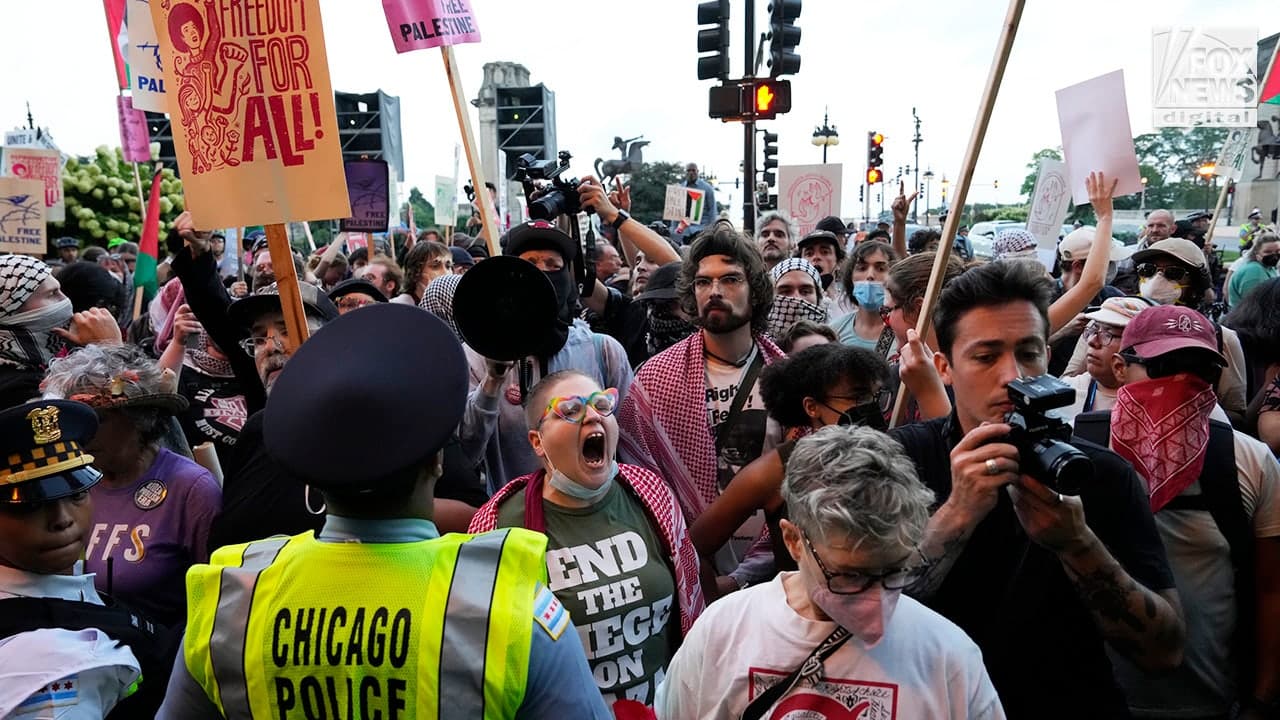 Fact Check: Protests are funded chaos orchestrated by political movements.
