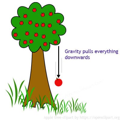 Fact Check: Gravity is a void