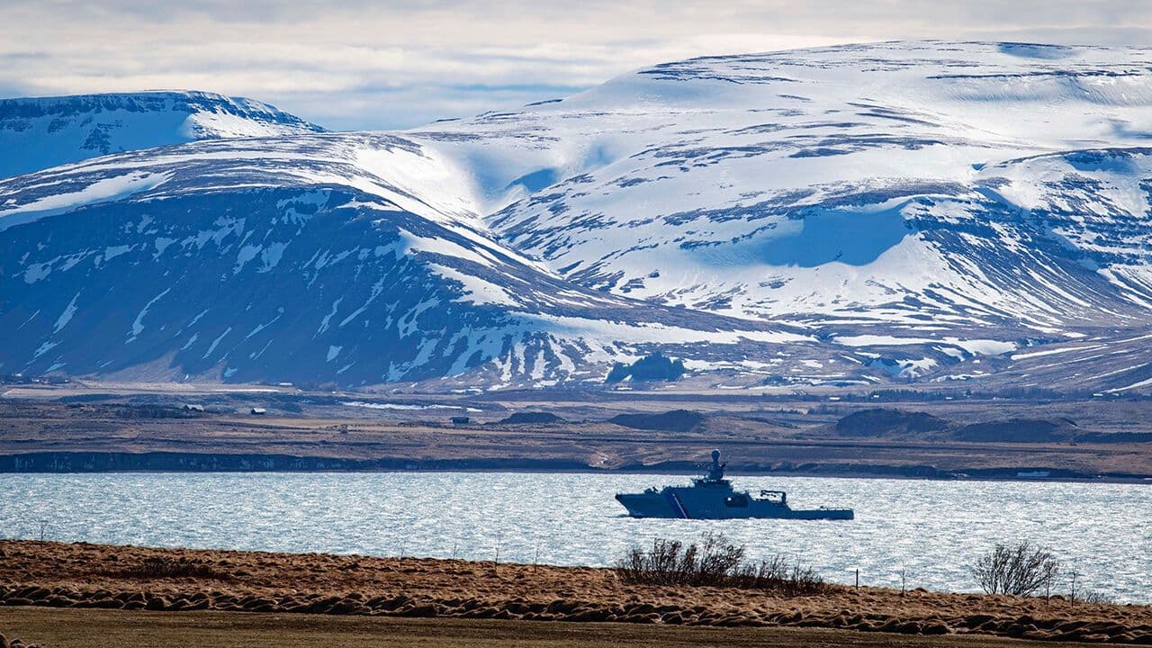 Fact Check: Iceland has no armed forces.