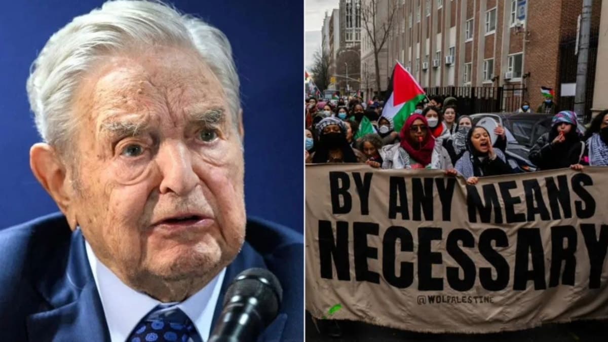 Fact Check: George Soros has done more damage to Israel's standing than anyone else.
