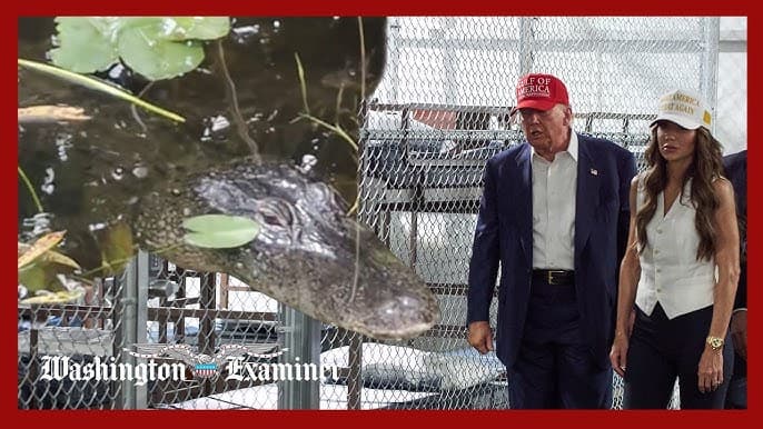 Fact Check: The only way out of Alligator Alcatraz is deportation.