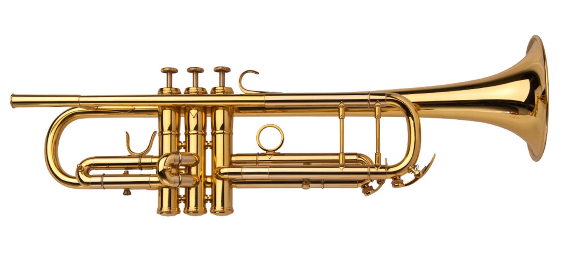Fact Check: Is trumpet a racist