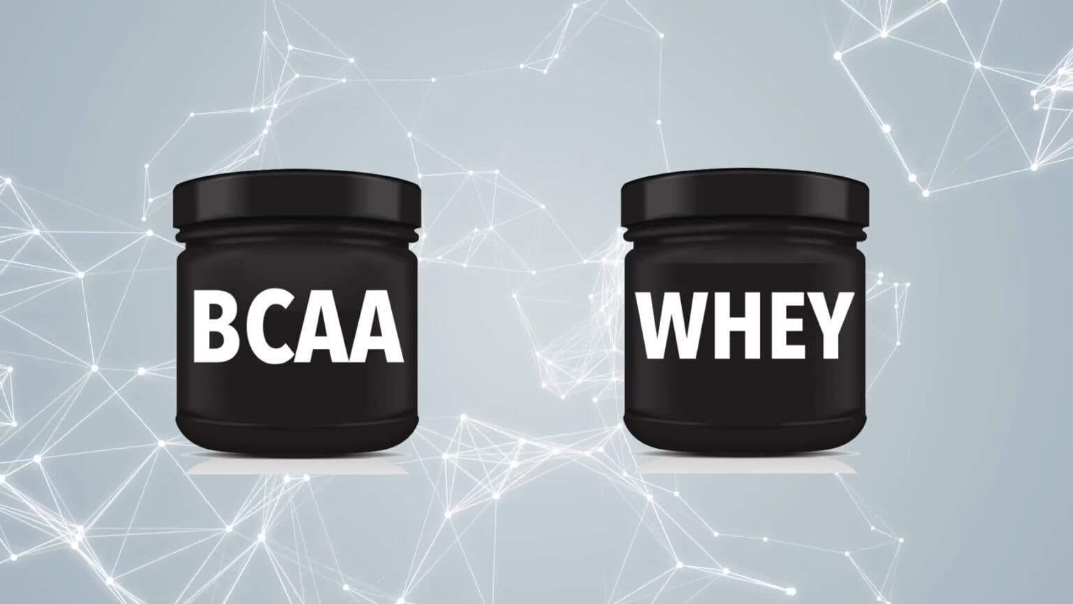 Fact Check: Are BCAAs worth it Reddit?