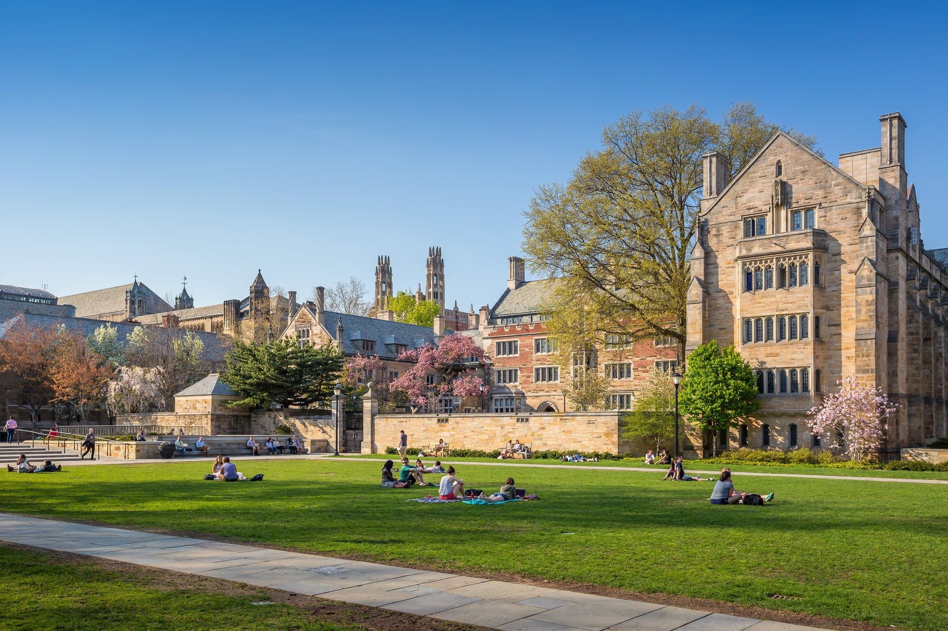 Fact Check: Are the least educated populations in red or blue
