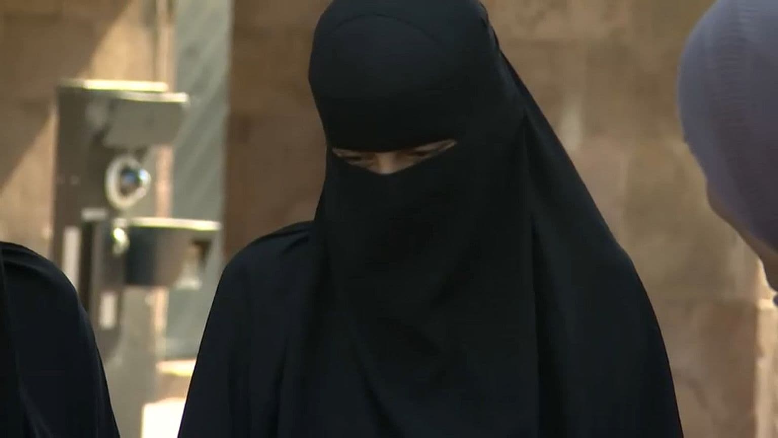 Fact Check: DENMARK BANS THE BURQA AND TELLS MUSLIMS TO ADJUST TO THEIR CUL CULTURE AND RULES, FACE LEGAL ISSUES, OR LEAVE THEIR COUNTRY