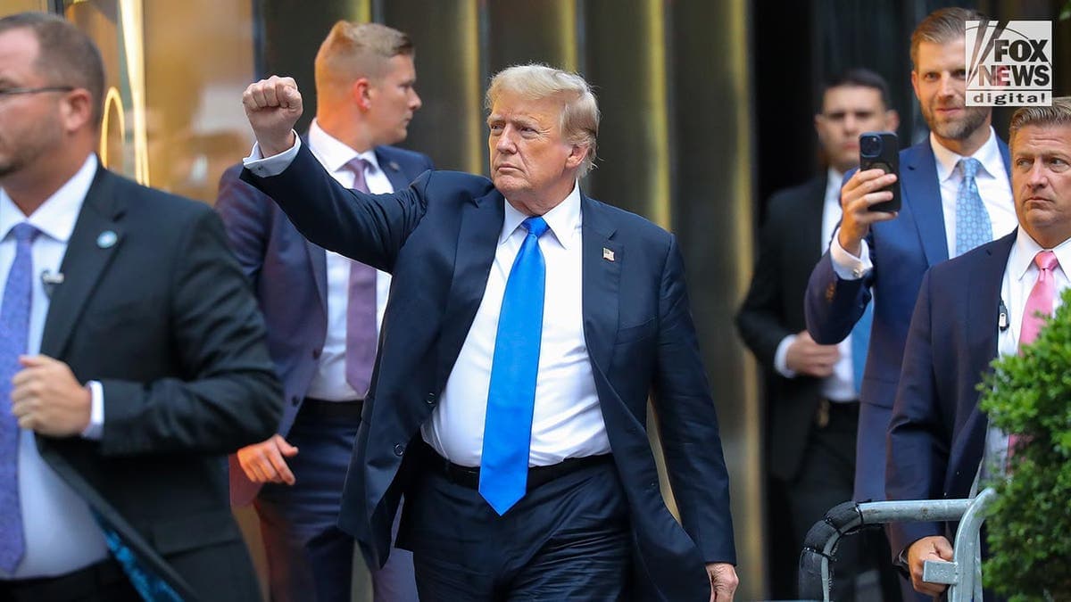 Fact Check: Is trump guilty of treason regarding the January 6 events

