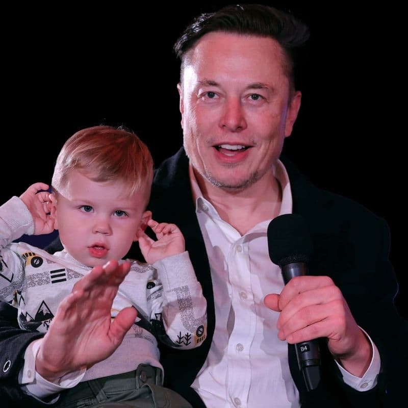 Fact Check: Does Elin Musk have more than 14 children?