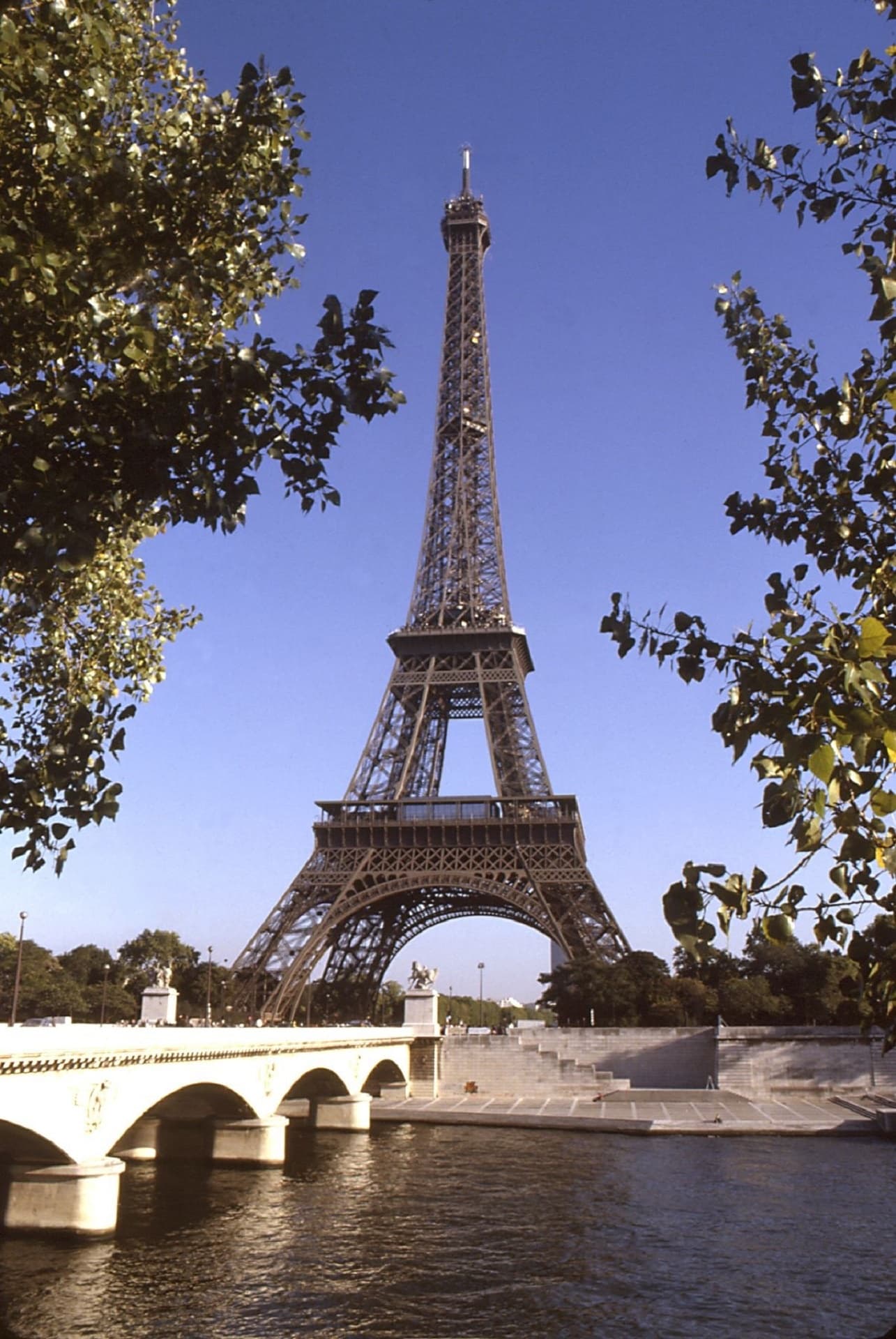 Fact Check: France thinks America is becoming authoritarian 