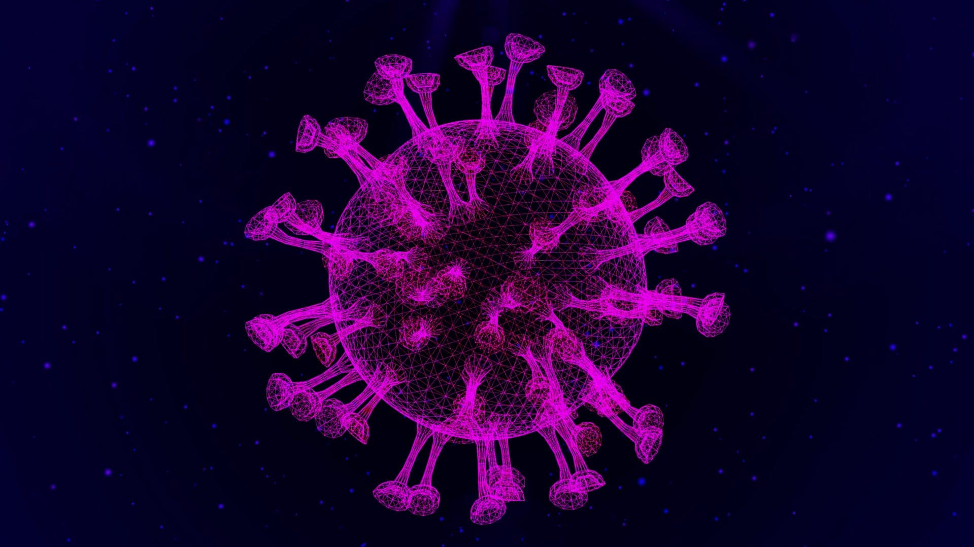 Fact Check: Covid-19 origin