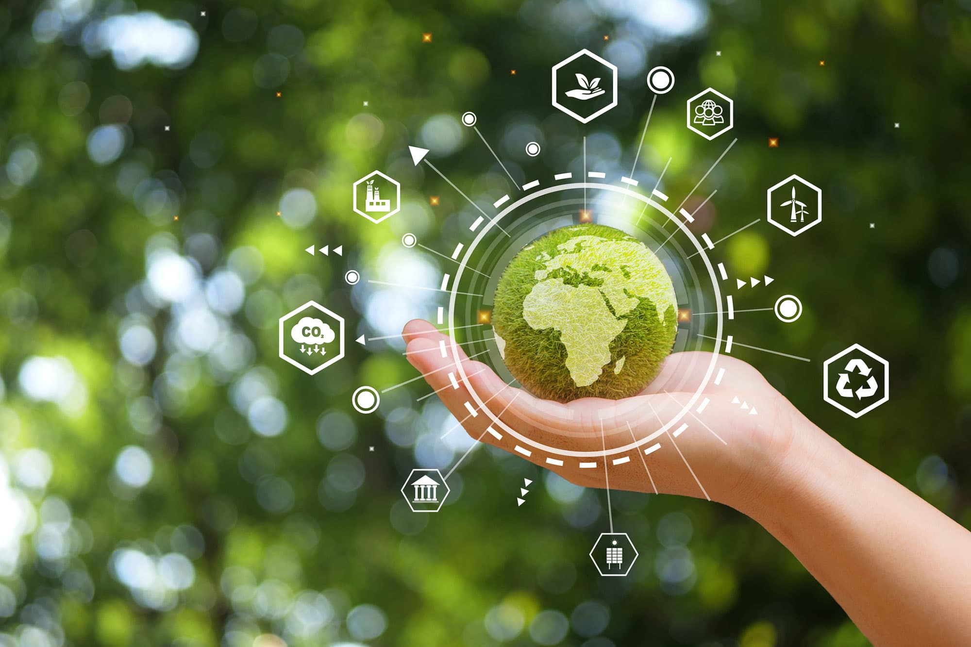 Fact Check: Sustainability is harmfull to extraordinary profit and Stupidity is caused by misinformation and lack of reasonable and extraordinary knowledge mangement
