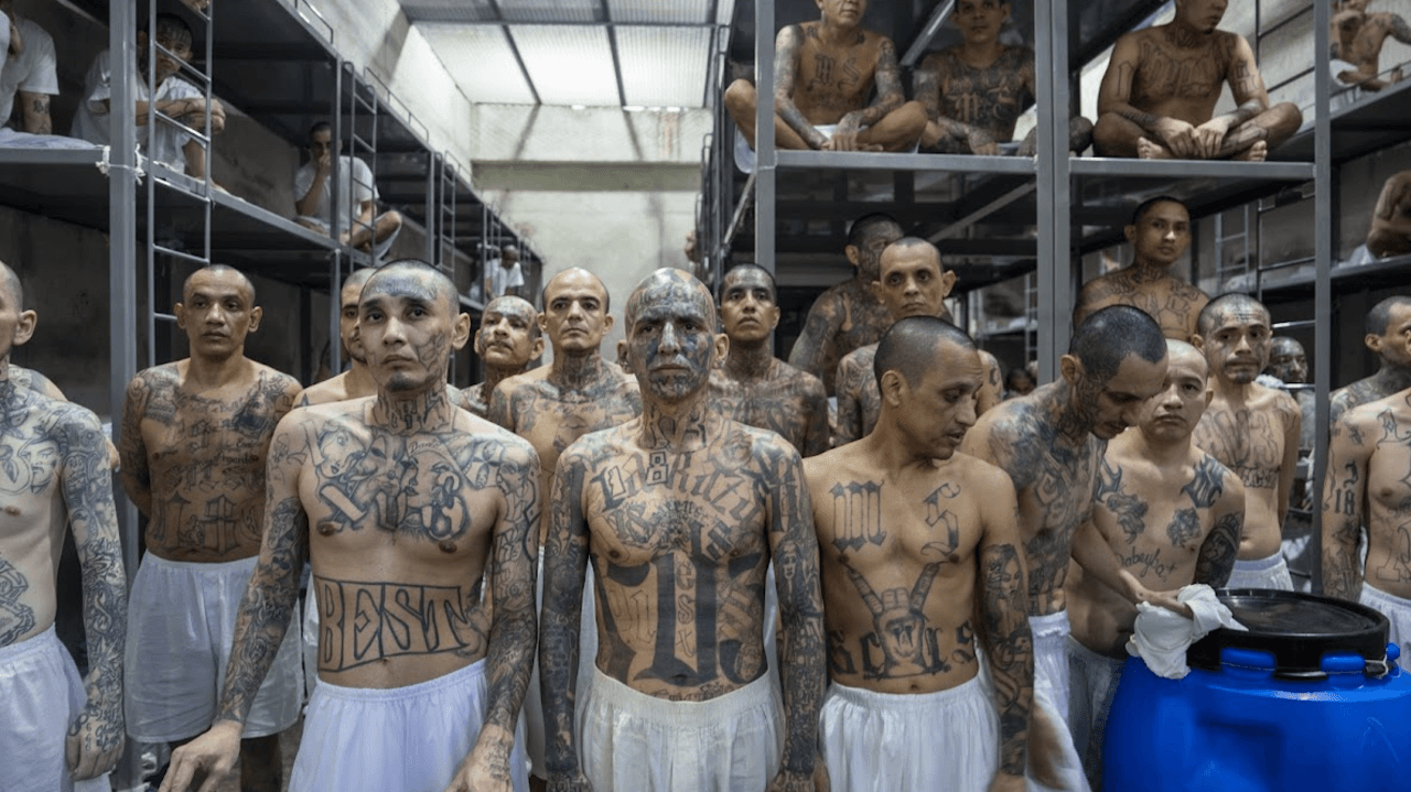 Fact Check: How many people deported to cecot are violent criminals 