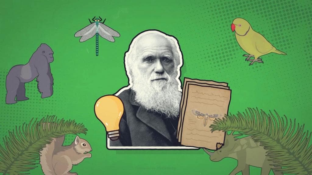 Fact Check: is evolution true?
