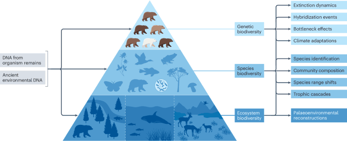 Fact Check: The coexistence of species was easier to accept in prehistoric times.