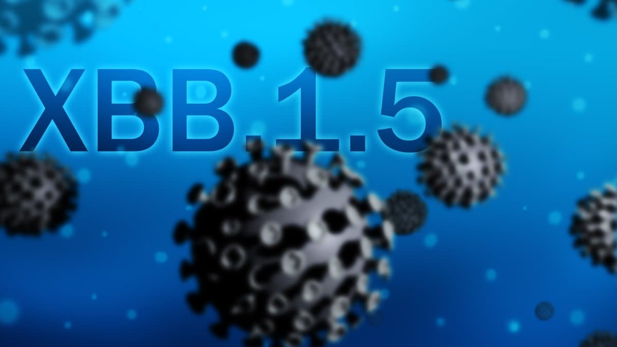Fact Check: New Covid Health Advisory.
Everyone is advised to wear a mask because the new COVID-Omicron XBB variant coronavirus is different, deadly and not easily detected properly:- Symptoms of the XBB virus are as follows:
1. No cough.
2. No fever.
There will only be: 3. Joint pain. 4. Headache. 5. Neck pain. 6. Upper back pain. 7. Pneumonia. 8. General loss of appetite. XBB is 5 times more toxic than Delta variant and has a higher mortality rate. It takes a shorter time for the condition to reach extreme severity, and sometimes there are no obvious symptoms. This strain of the virus is not found in the nasopharyngeal region