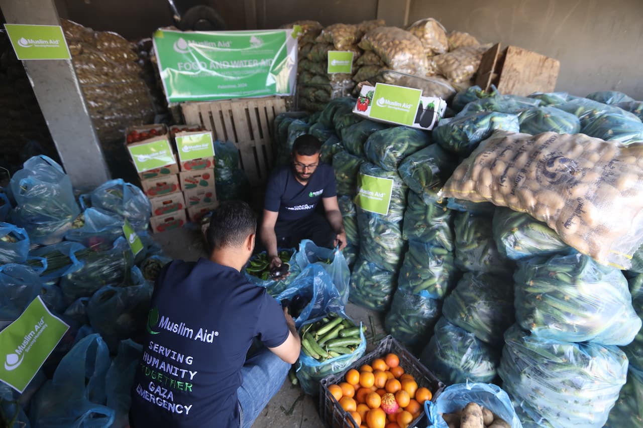 Fact Check: Is humans starving Gaza 