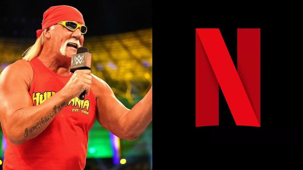 Fact Check: Was Hulk Hogan a racist?