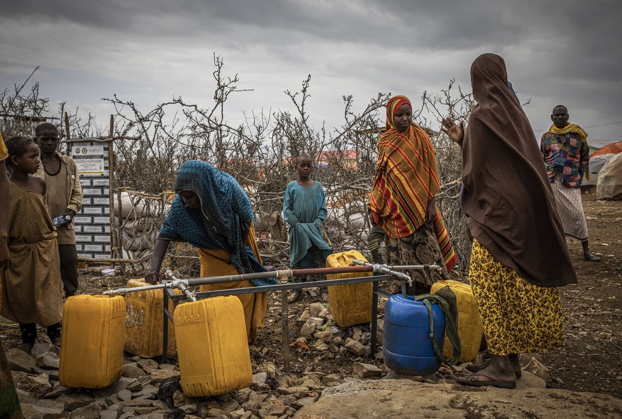 Fact Check: Forced famine against enclosed victims is hard for those politicians and public servants who enforce it.