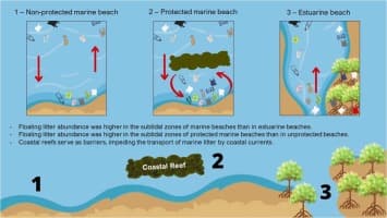 Fact Check: 5:08 Plastic pollution can 
degrade fish habitats, affecting their ability to thrive.