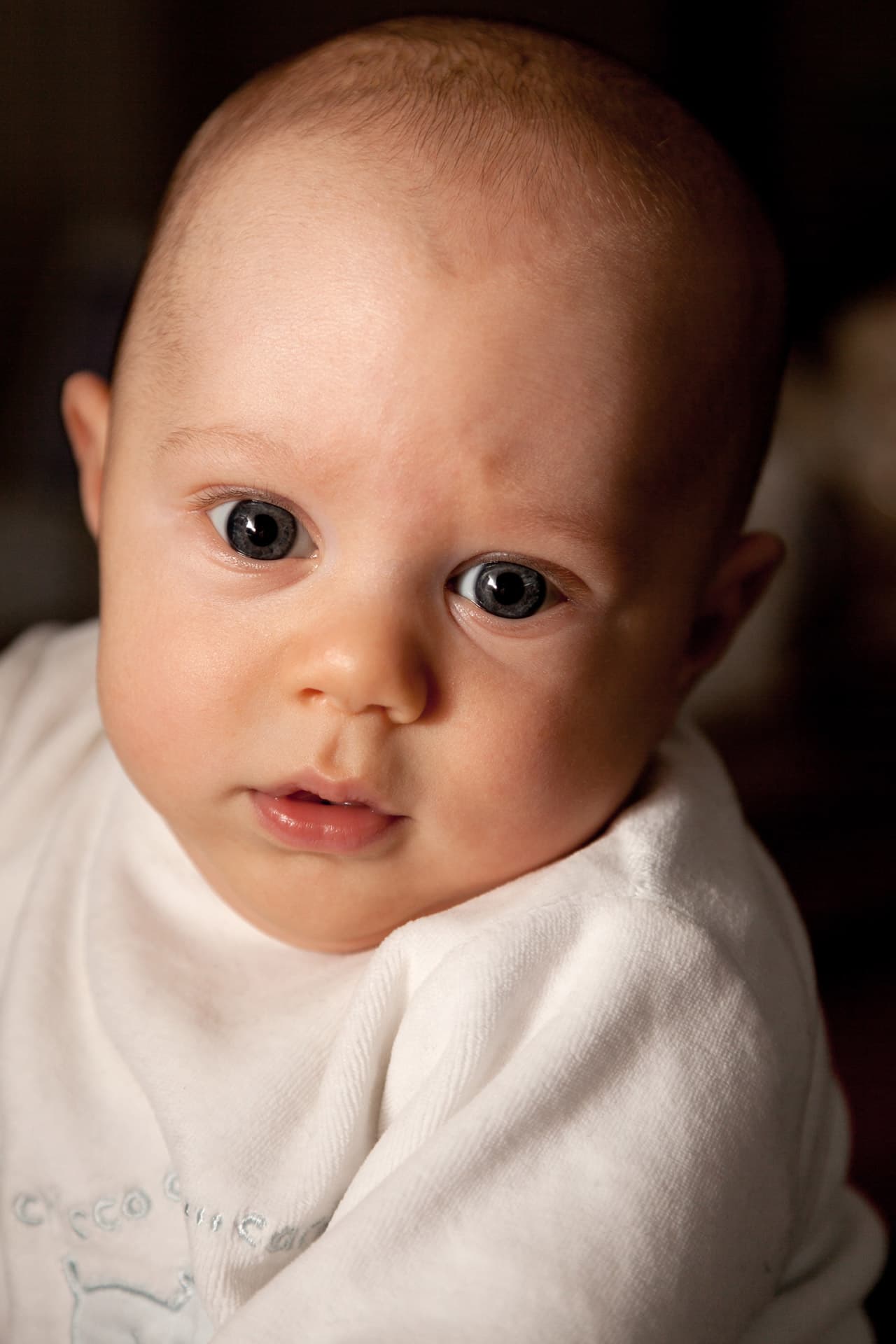 Fact Check:  Baby monkeys that were given vaccines according vaccination schedule had abnormalities in the region of the brain affecting social and emotional development results during the previous 3-4 months may have had impact brain growth and development... warrant additional into the potential impact between MMR vaccines brain structure Hewitson Lopresti BJ. study. Influence ligand Exp pediatric vaccines study 147-64. structural according the recommended functional changes childhood obtained from male infant rhesus macaques regimen. additional macaques, control group, 6months control animals. vaccinated and behavior) compared Hib-vaccinated primates had significantly altered and emotional primates. primates increase total finding for many children and months