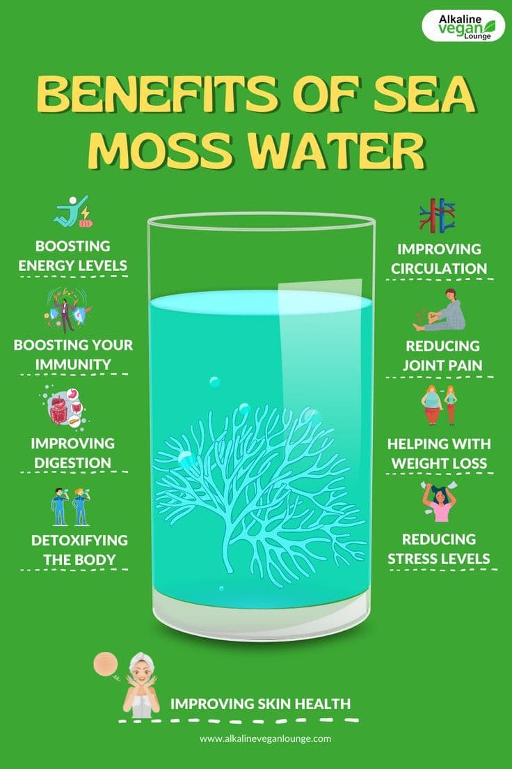 Fact Check: "Drinking sea moss daily cures COVID-19 faster than vaccines. Big Pharma just doesn’t want you to know."

