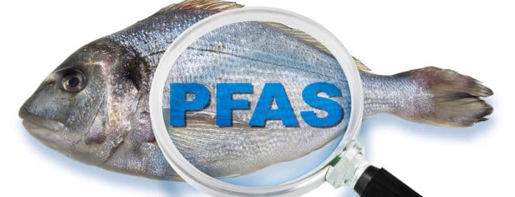 Fact Check:  PFAS manufacturers 3M and DuPont agreed to pay at least $12.5 billion 💰for their roles in contaminating state landfills and rivers with “forever chemicals.” For over 50 years, they knew that PFAS exposure could be linked to kidney and testicular cancer, but chose to keep the risk hidden from the public.

Those affected may be eligible for compensation. Check eligibility for a settlement today with our 1-minute evaluation. ⚡️