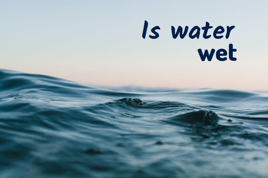 Fact Check: is water wet