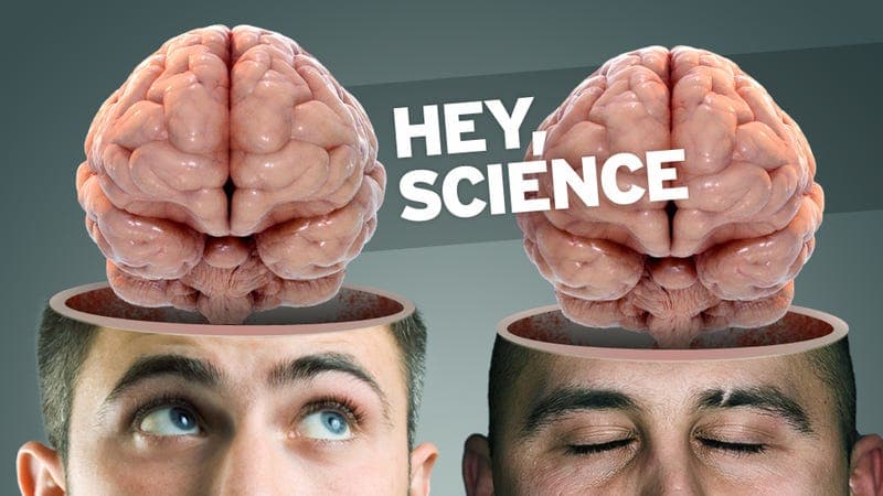 Fact Check: Is brain transplants possible?