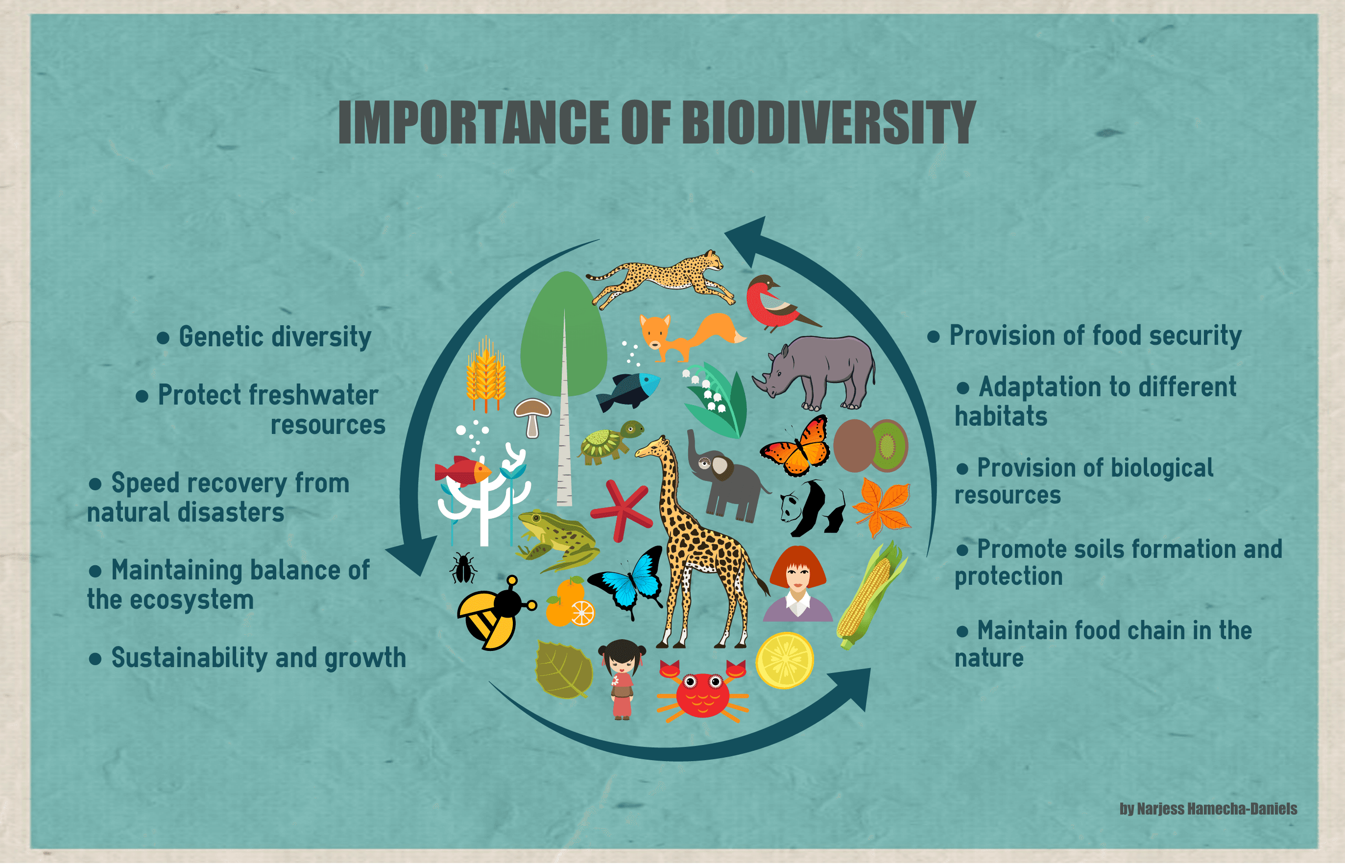 Fact Check: Humanity can survive without biodiversity as long as there are enough food supplies.