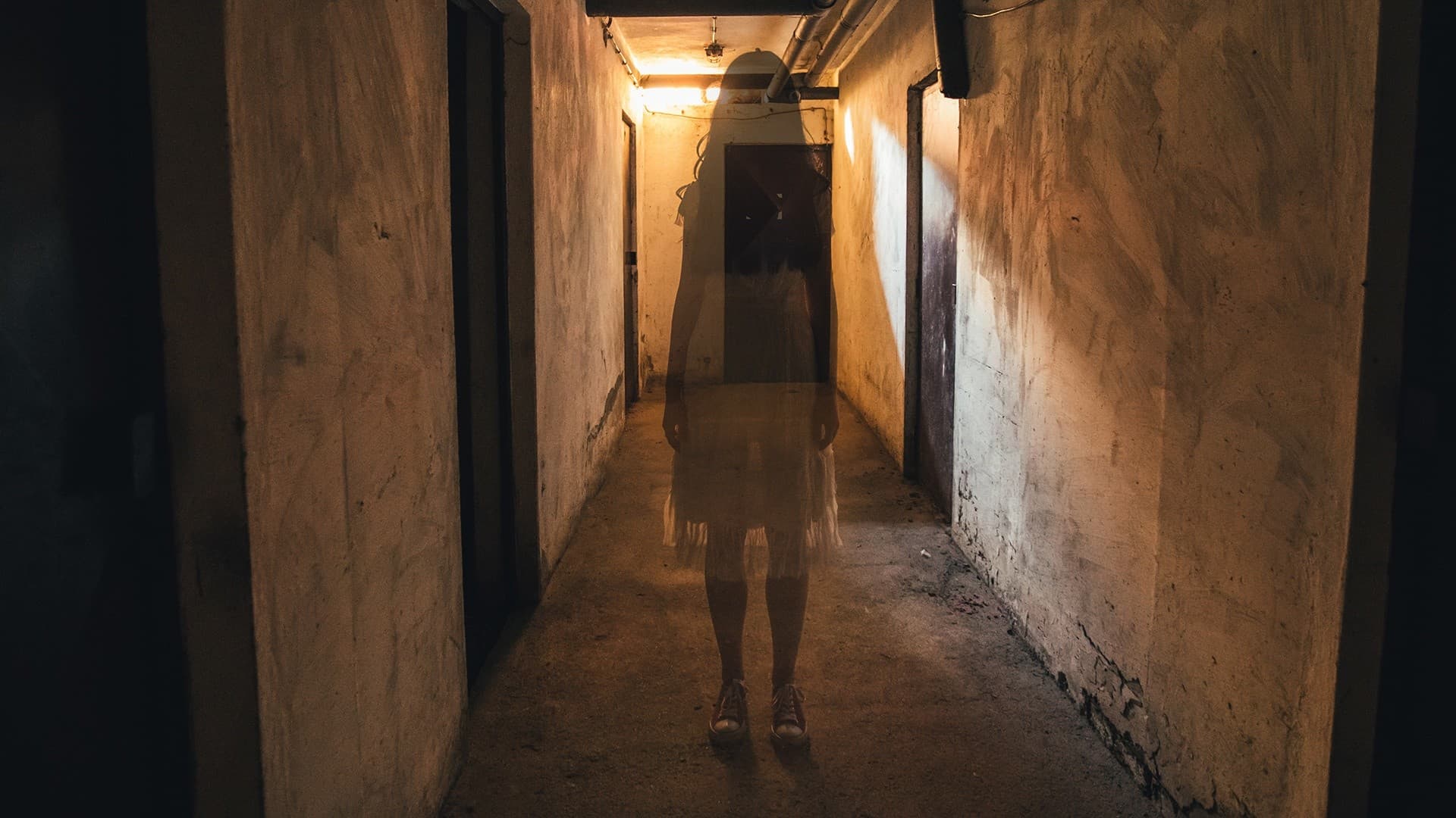Fact Check: Ghosts exist
