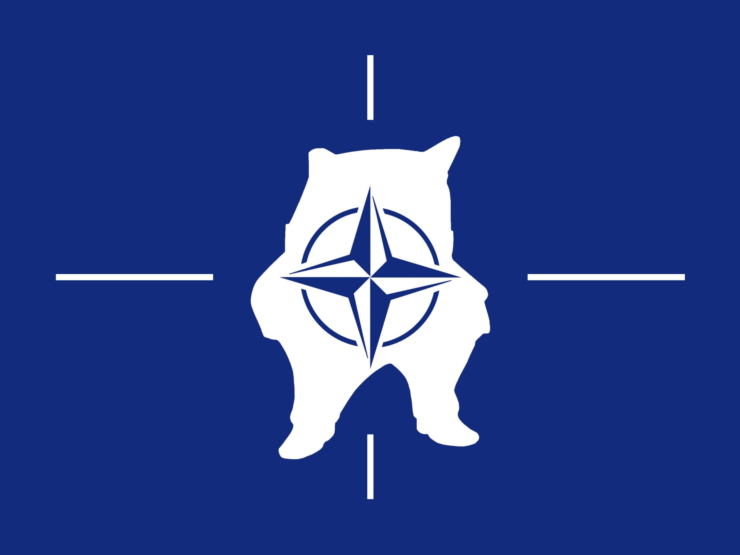 Fact Check: Nafo was created by the us government 
