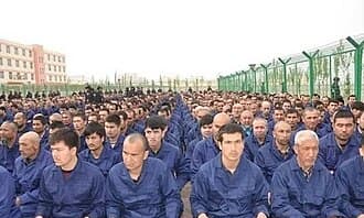 Fact Check: The Grayzone is right about the Uyghur genocide 
