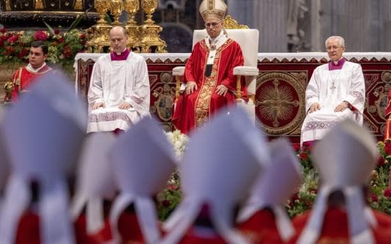 Fact Check: Pope Leo on reforms 