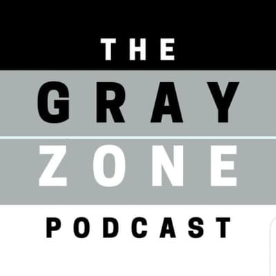 Fact Check: The Grayzone website supports china