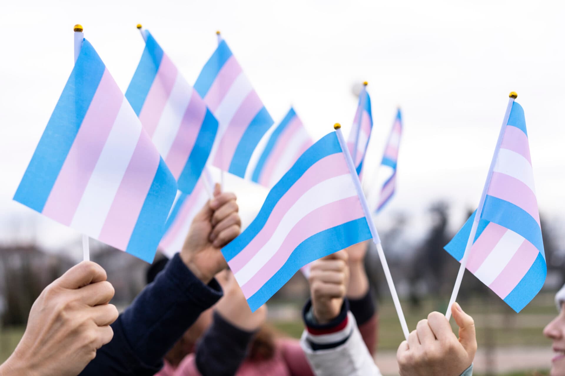 Fact Check: Transgenderism wouldn't be a thing if gender was defined the same way as sex. The reality is gender and sex are the same, therefore transgenderism can't be a thing. You can't change your gender. And intersex isn't an example it is a mutation. Sex is binary. Gender is binary.