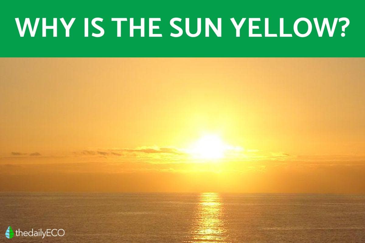 Fact Check: the sun is yellow