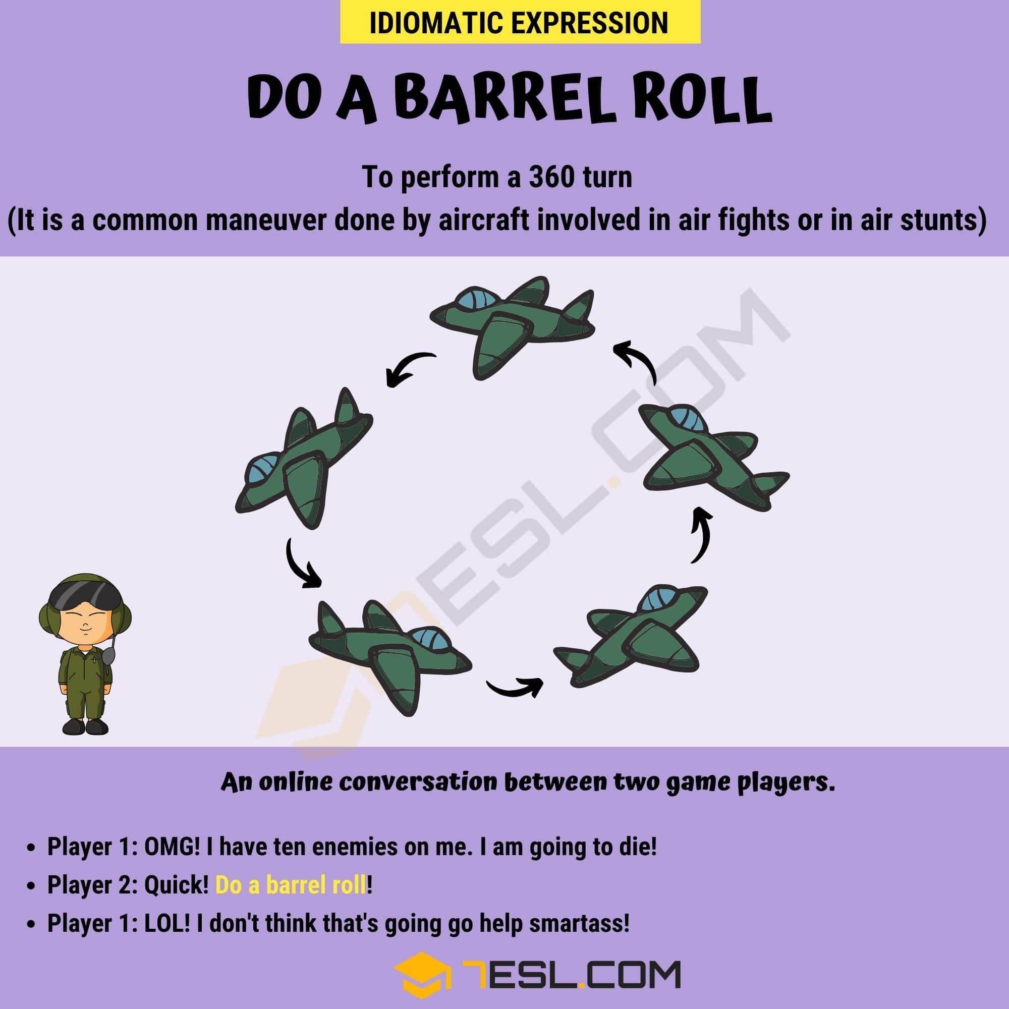 Fact Check: Do a barrel roll pls