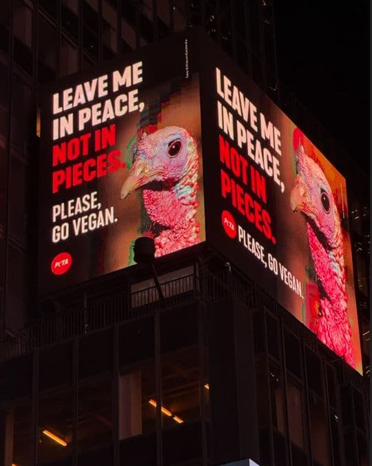 Fact Check: What was on the minde at peta marketing whan thay puted got autism billboard
