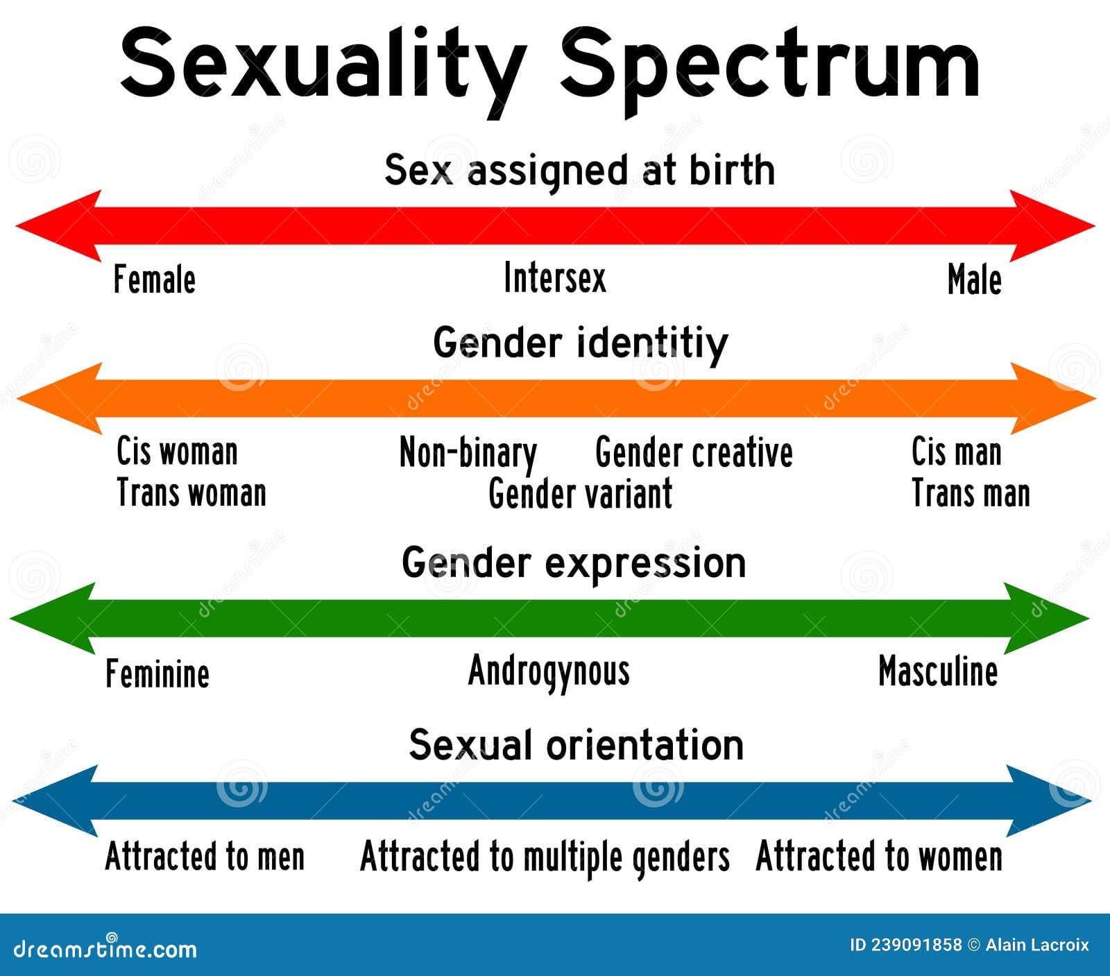 Fact Check: Sexuality falls on a spectrum and most people aren't say completely 100% straight