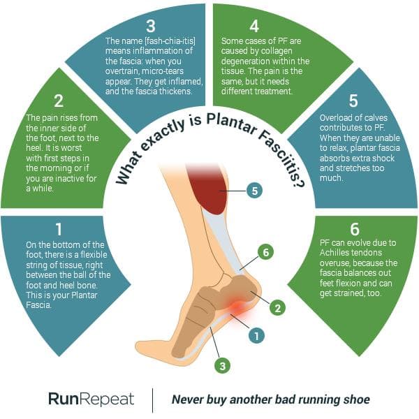 Fact Check: Are bzees good for plantar fasciitis?