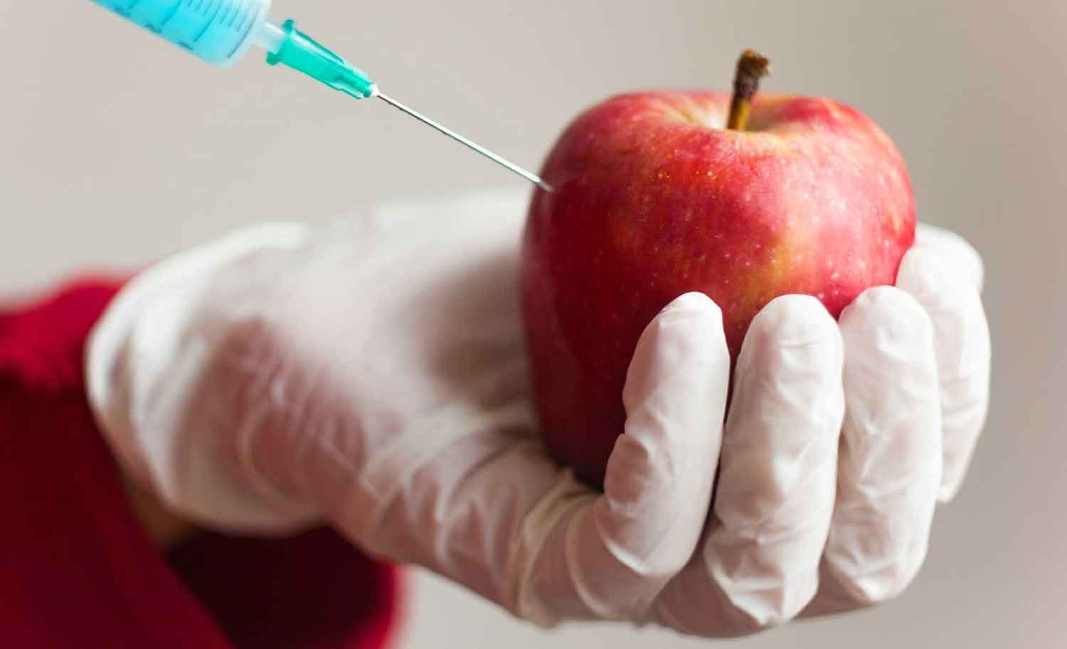Fact Check: GMO foods are toxic