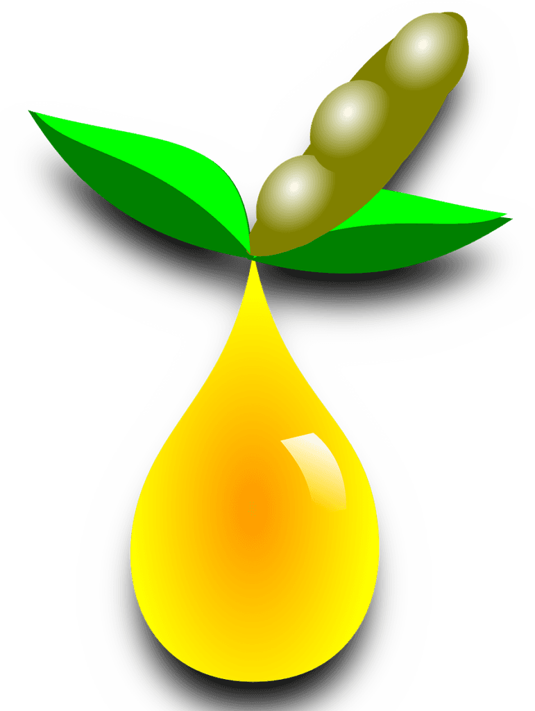 Fact Check: Seed oils are inflammatory 