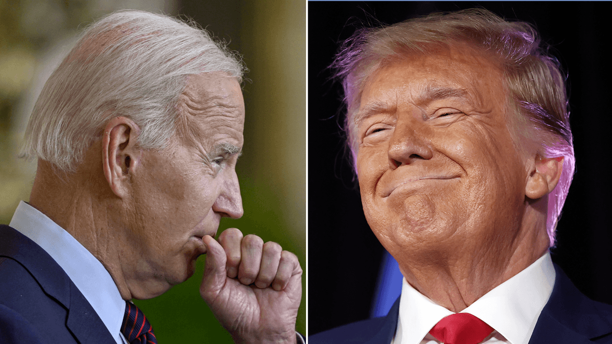 Fact Check: President Trump and congressional Republicans are attempting to gut wildlife protections, pushing 1 million species toward extinction